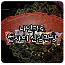 참마트 | 포항 타로 잘보는곳 나인타로 포항점 솔직후기 (찾아가는길/사주/관상)