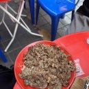 부산 회식 & 점심 맛집 | 광복동 새옹지마 돌게탕 + 영도뼈다귀해장국 두 곳 후기