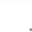 낮 술 이미지