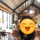 딥포레 이미지