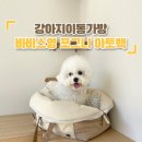 포그니유치원 | [강아지이동가방추천] 바비스영 포그니 아토백 L사이즈(내돈내산)