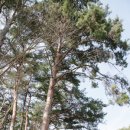 농산별업 이미지