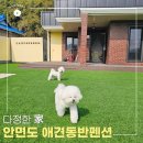 다정한 가 네이버블로그