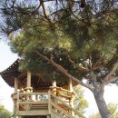 대현2리 이미지