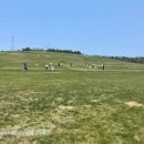 동방목장 이미지