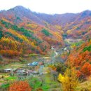 더드림우리부동산공인중개사사무소 이미지