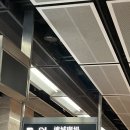 [자전거 라이딩] 홍콩 샤틴 Shatin - 타이메이툭 Tai Mei Tuk 자전거 코스 후기 및 가는 방법