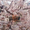 옥과농협 겸면지점 이미지