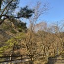 지리산노을 | [지리산국립공원] 내원 야영장 카라반 후기 (준비물, 불멍, 바베큐)