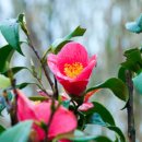 청포마을 이미지