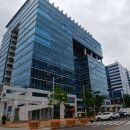 성지스타위드 이미지