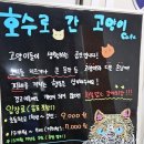 신강레이크뷰 | 시흥 은계 고양이카페 20개월 아기랑 함께 다녀온 호수로 간 고양이