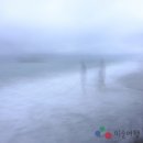 사진예술 이미지