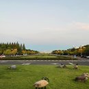 WR(대구광역시 중구)-61[중앙대로]-하-13 | 주간일기 챌린지 9월 4주차 | 오랜만에 만난 최애💚