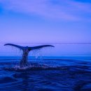 동해여인숙 이미지