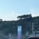 대하와 전어의 계절 홍성대하축제 남당항 방문후기 (스끼다시 대박 식당추천: 바위섬)