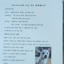 모니카애견 이미지