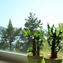 나로베어하우스 이미지