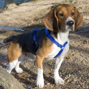 우성동물병원 이미지