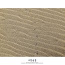 감성모래