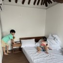 스테이고만안재