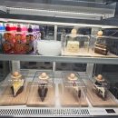 수원-0374 | 인계동 데이트 코스 완성! <무릉냥원>에서 12마리 개냥이와 힐링한 하루:)!!