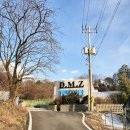 세종 | 대전 근교 풀빌라 / 세종 펜션 디엠제트 후기