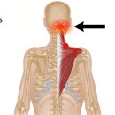 양촌한의원 이미지
