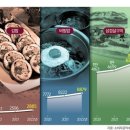 2023년 8월 22일 화요일, 신문에 나온 알면 좋을 이야기들 이미지