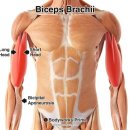 에브리데이 PT 이미지