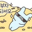 와이메디슨 이미지