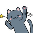 포캣(for cat) 이미지