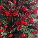 황금알 | 영덕 호텔 <파나크 바이 소노> 슈페리어 오션뷰 패밀리룸 후기 feat. 황금알식당 미주구리찌개 물곰탕