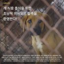 초당의원 이미지