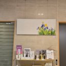 와이아로마스파 이미지