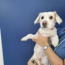 병구동물병원 이미지