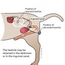 나온동물병원 이미지