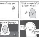 조이토마토 이미지