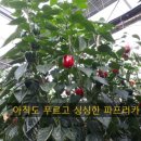변종호 농장 네이버블로그