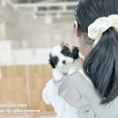 아이티즈 네이버블로그