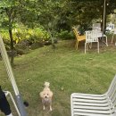 유정1955 이미지