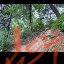 도드람산식당 | 이천 설봉산(394.3m), 도드람산(349m) 산행 후기