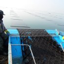 서천(목포) 이미지