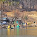 그린낚시터(전수저수지) 이미지