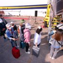 썬플라워 이미지