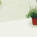 볕이좋은창 이미지