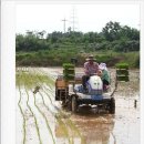 정재농장 이미지