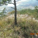 화원주유소 이미지