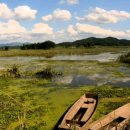 우포늪 자전거 대여소 이미지