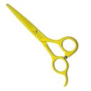 스마일애견미용 이미지